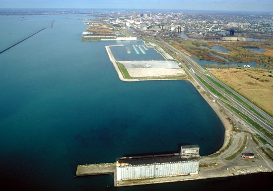 Buffalo Background Check